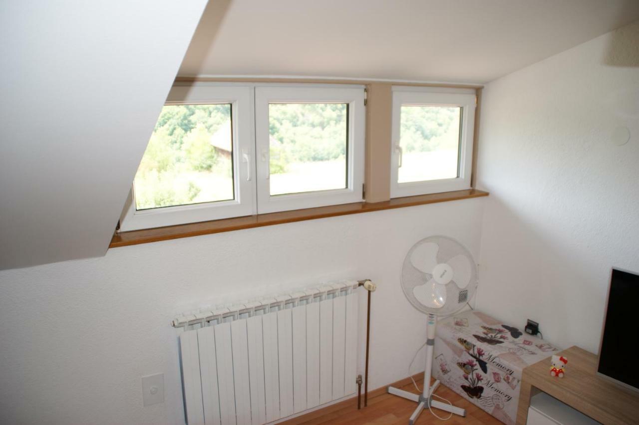 Apartman "Bogut" スルニュ エクステリア 写真